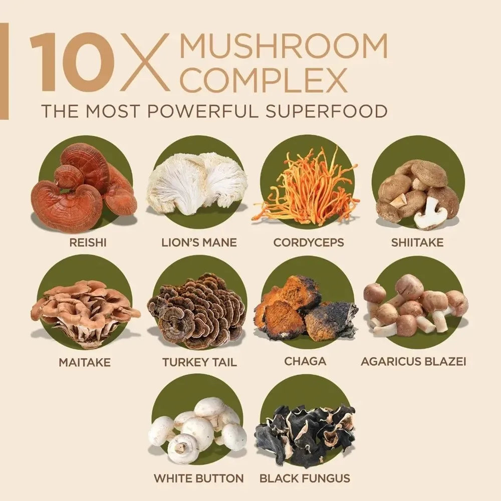 Immune support 10 Mushroom Complex Transdermal Patches for Brain Memory Focus Lions Mane-Reishi-Cordyceps 30 Patches